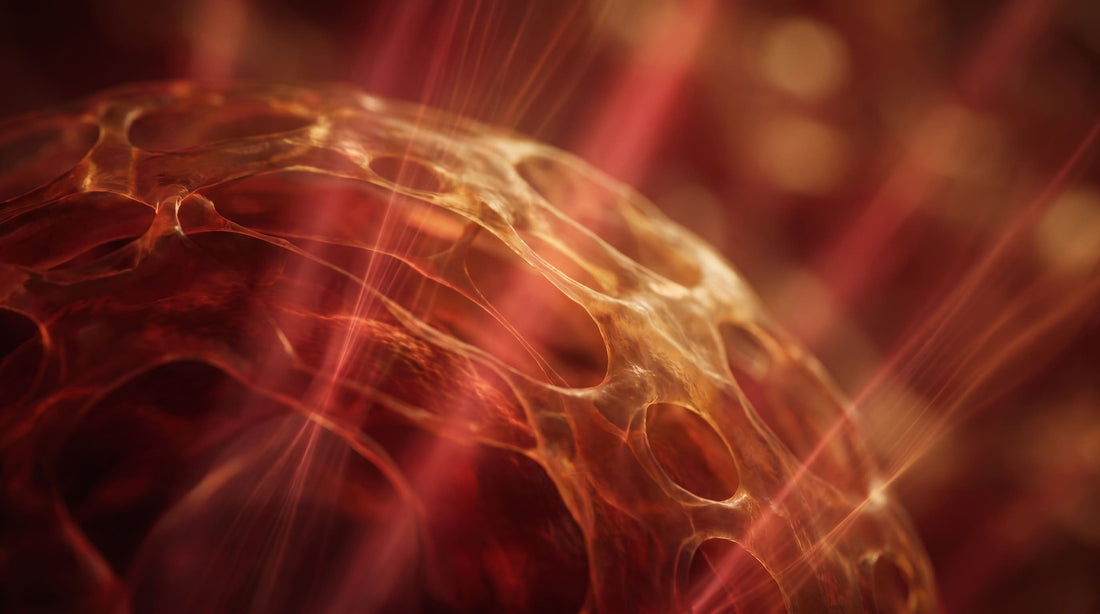 Representación de la luz roja e infrarroja penetrando la estructura celular en fotobiomodulación